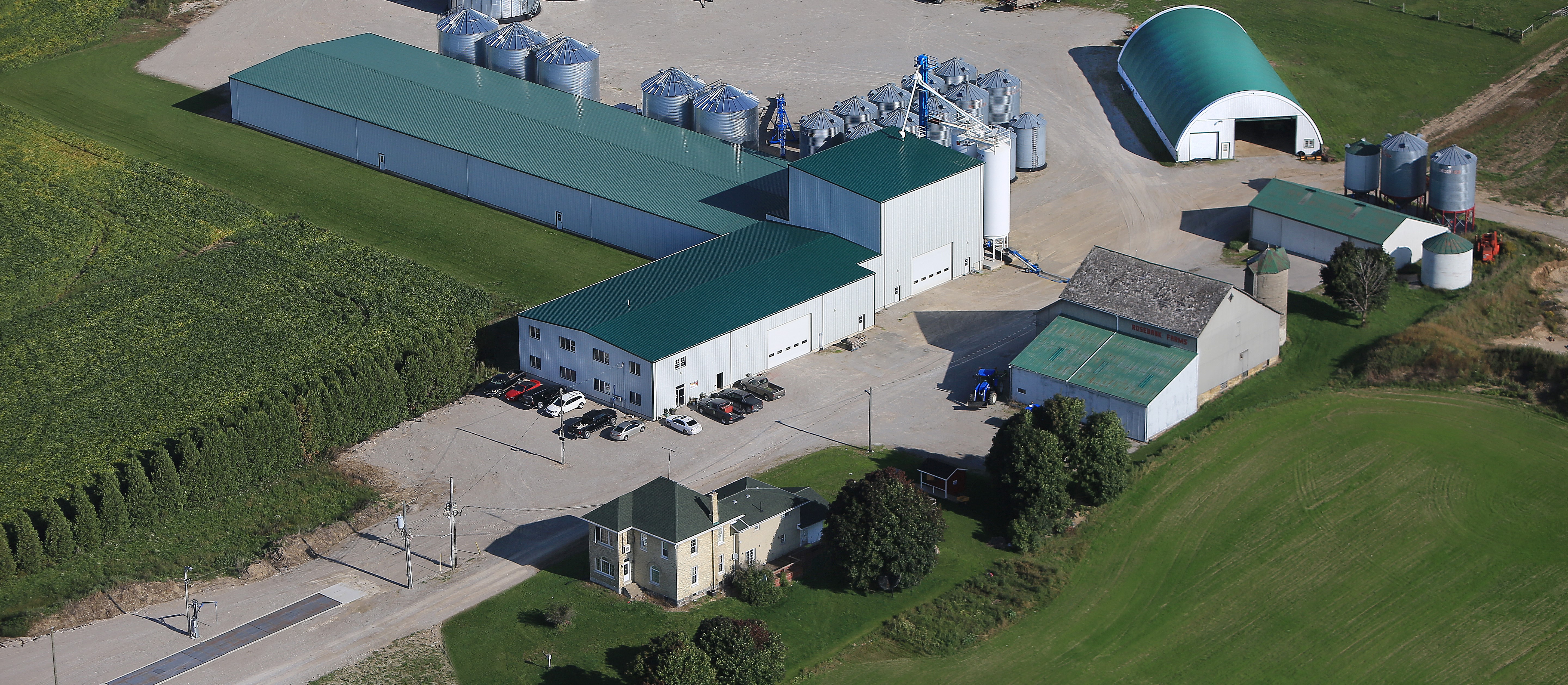 Picture of Rosebank Seed Farms Ltd.